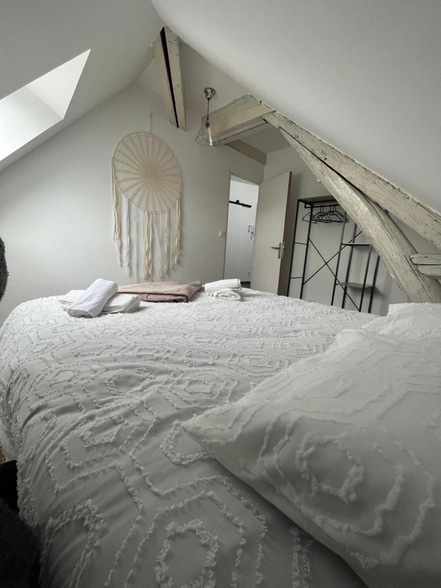 Sejour De Charme Au Boheme Apartment Amboise Luaran gambar